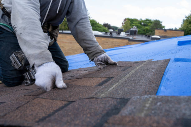 Best Slate Roofing Contractor  in Cambridge, IL