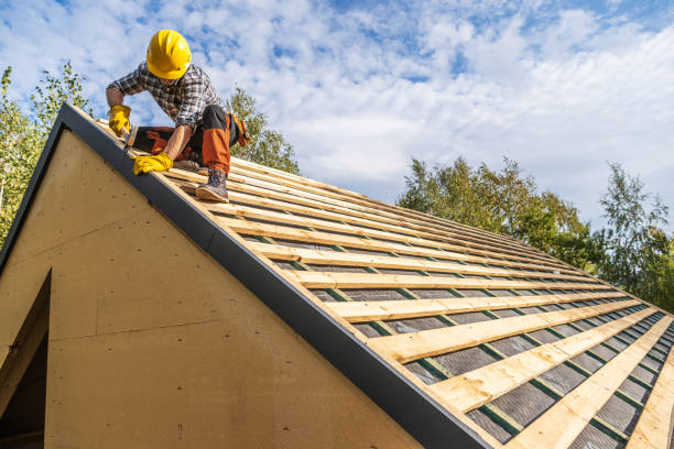 Professional Roofing Contractor in Cambridge, IL