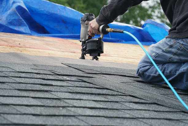 Best Flat Roof Repair Services  in Cambridge, IL