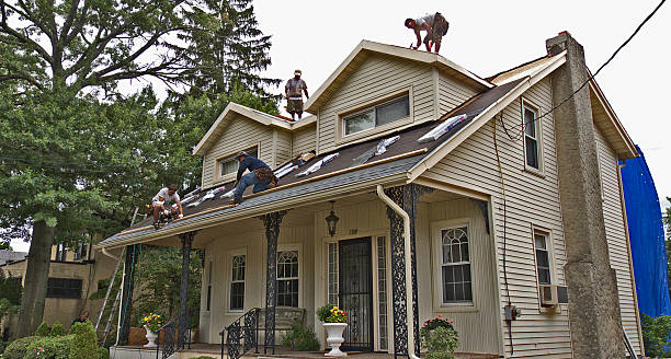 Best New Roof Installation  in Cambridge, IL