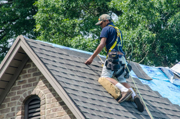 Best New Roof Installation  in Cambridge, IL